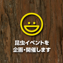 昆虫イベントを企画・開催します