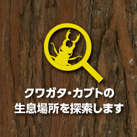 クワガタ・カブトの生息場所を探索します
